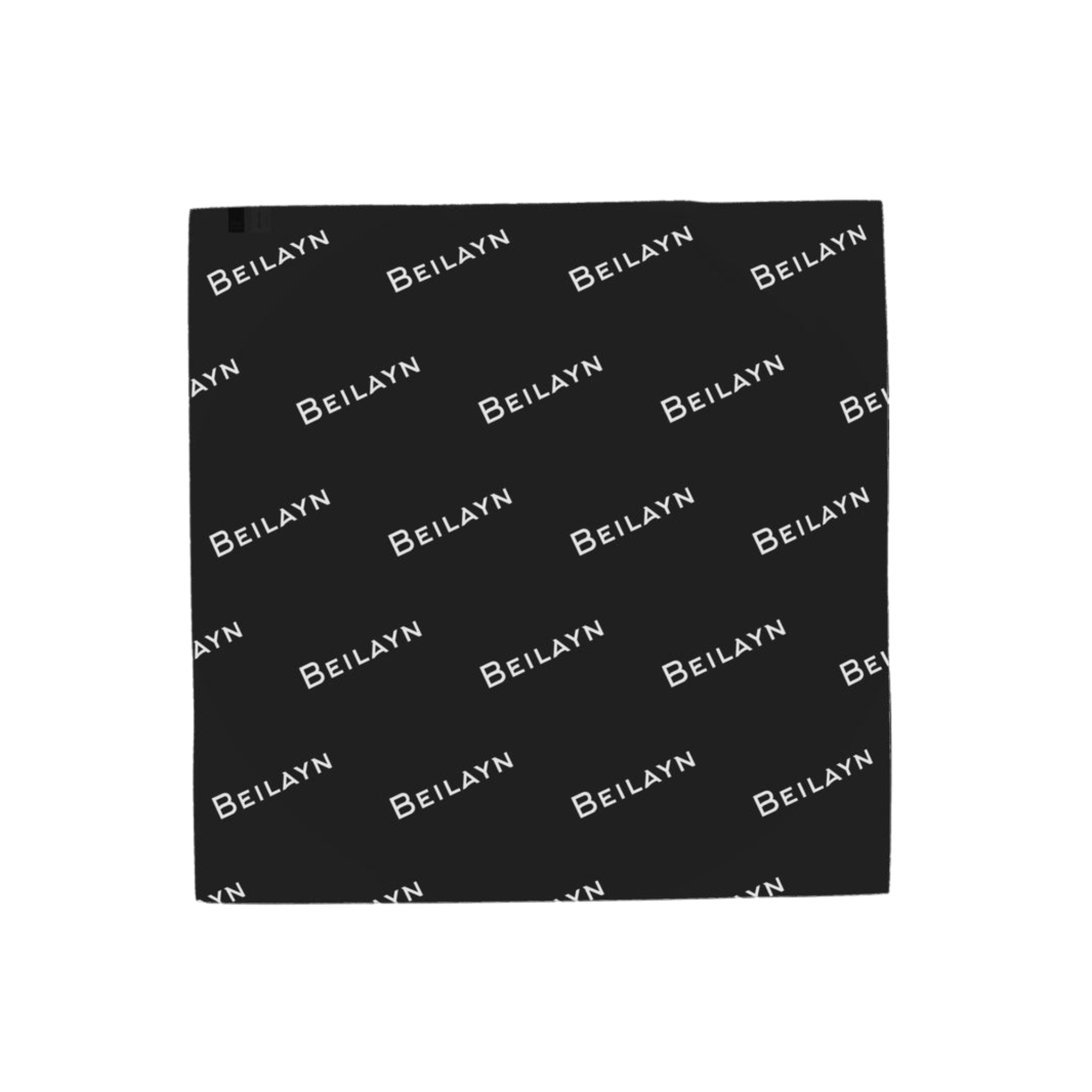 Wool and cashmere twill scarf with Beilayn logo